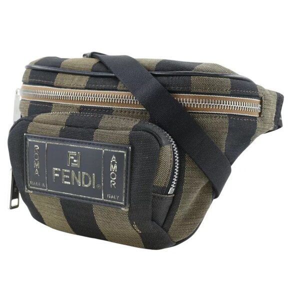 FENDI Pecan Stripe Waist bag 7VA446 body bag Brown Nylon canvas unisex - Picture 5 of 14